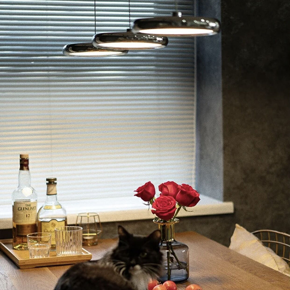 Arisha Minimalist Circular Metal Pendant Light,Silver/Gold/Rose Gold - Lamp Copper