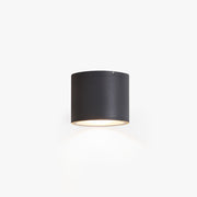 Ray Modern Black Cylindrical Flush Mount Ceiling Light Spotlight - Lamp Copper
