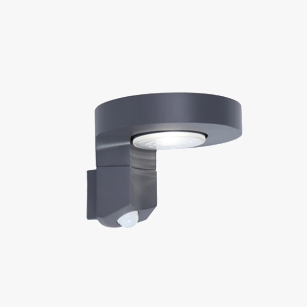 Ray Modern Round Metal/Acrylic Sensor Solar Waterproof Outdoor Wall Lamp, Black - Lamp Copper