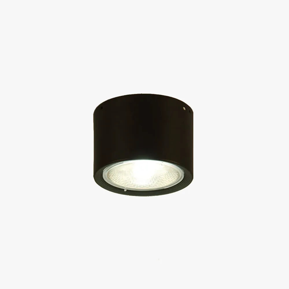 Arisha Modern Round Flush Mount Ceiling Light, Wood/Black, Living Room - Lamp Copper