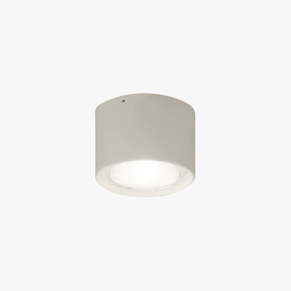 Arisha Modern Round Flush Mount Ceiling Light, Wood/Black, Living Room - Lamp Copper