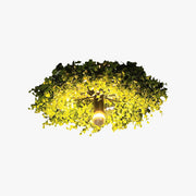 Arko Plant Ceiling Light - Lamp Copper