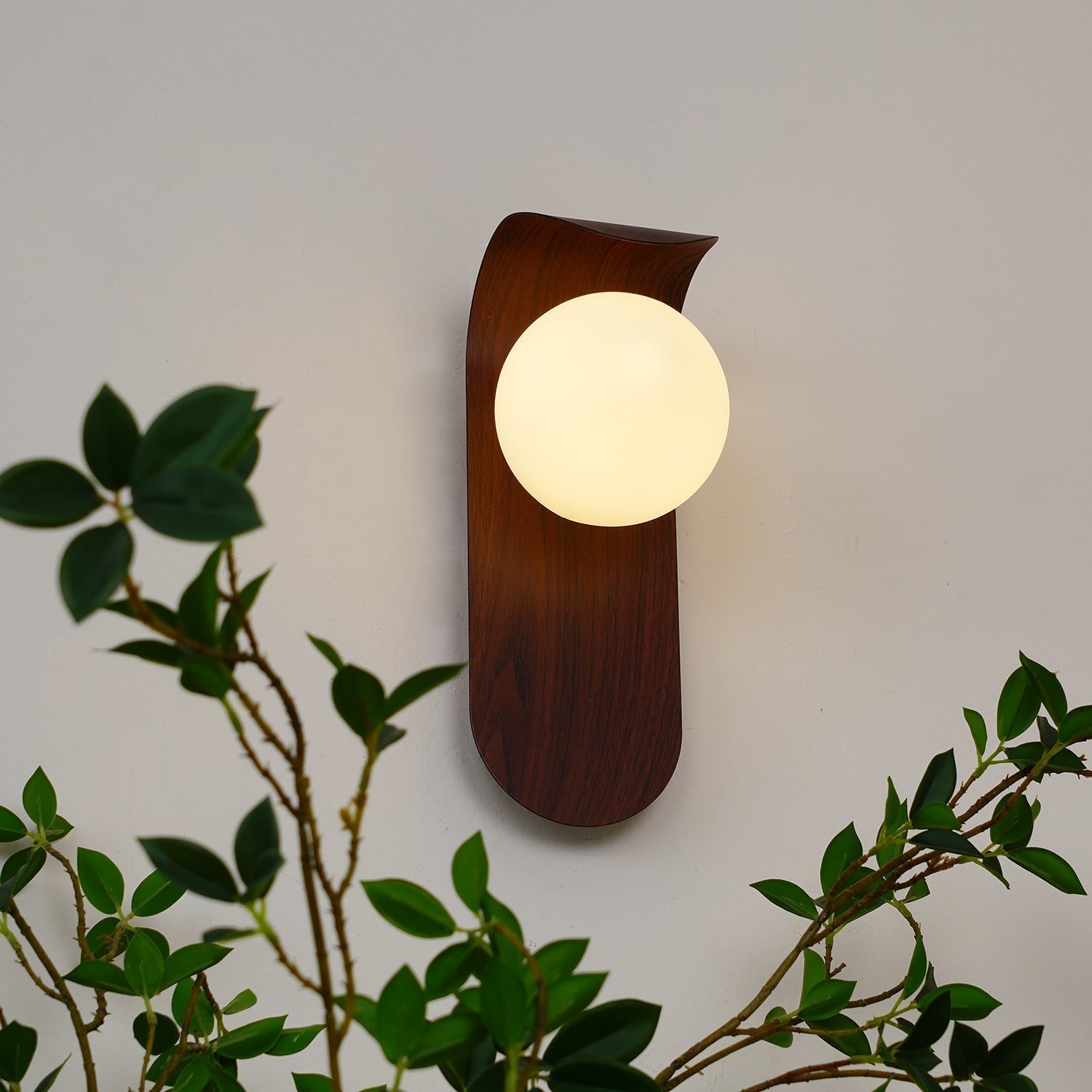Exuro Indoor Wall Lamp Wood / Walnut - Lamp Copper