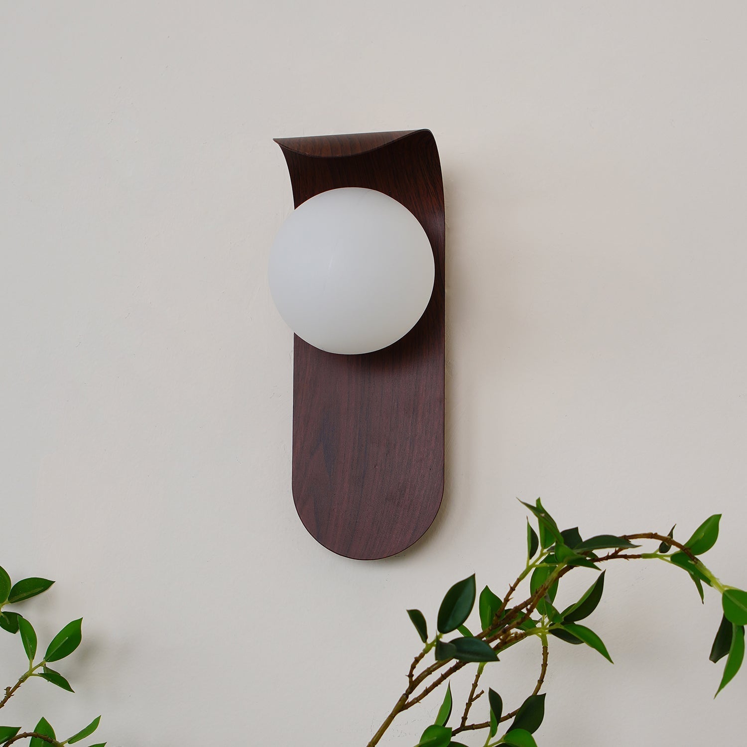 Exuro Indoor Wall Lamp Wood / Walnut - Lamp Copper
