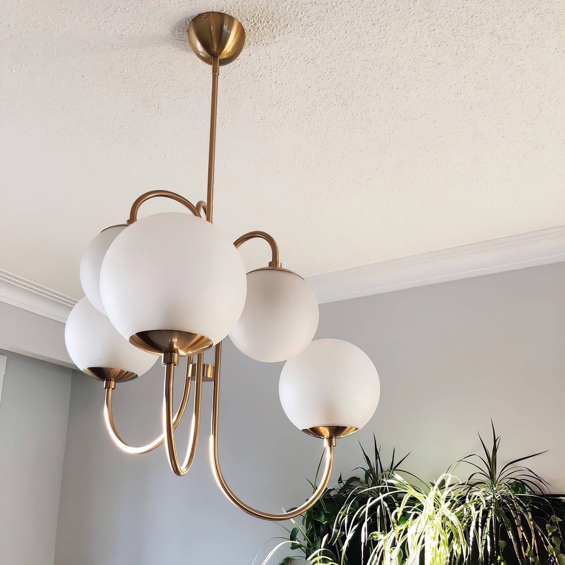 Zathaor Individual Creativity Metal Glass Chandelier - Lamp Copper