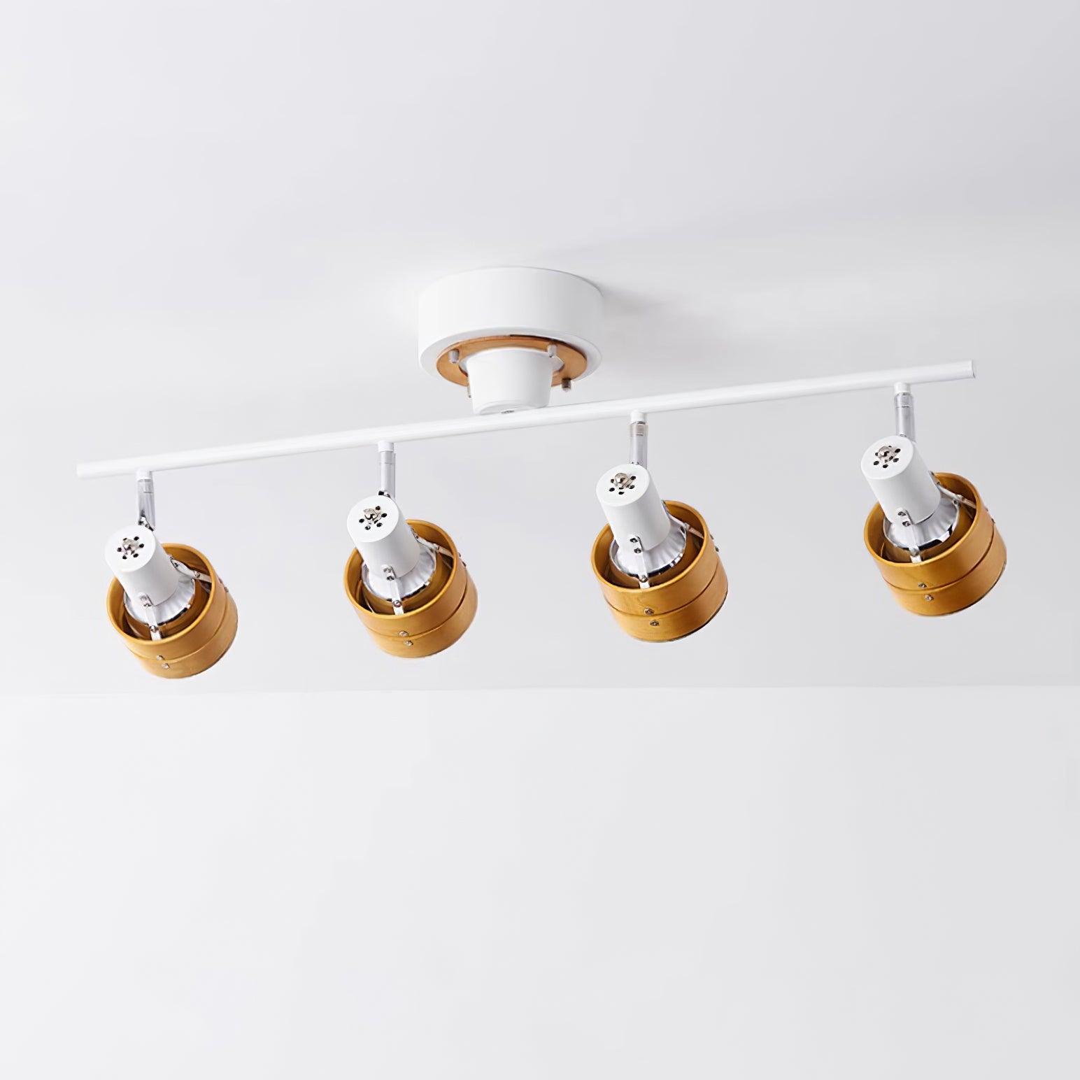 Daven Adjustable 4-Light Track Spotlight - Lamp Copper