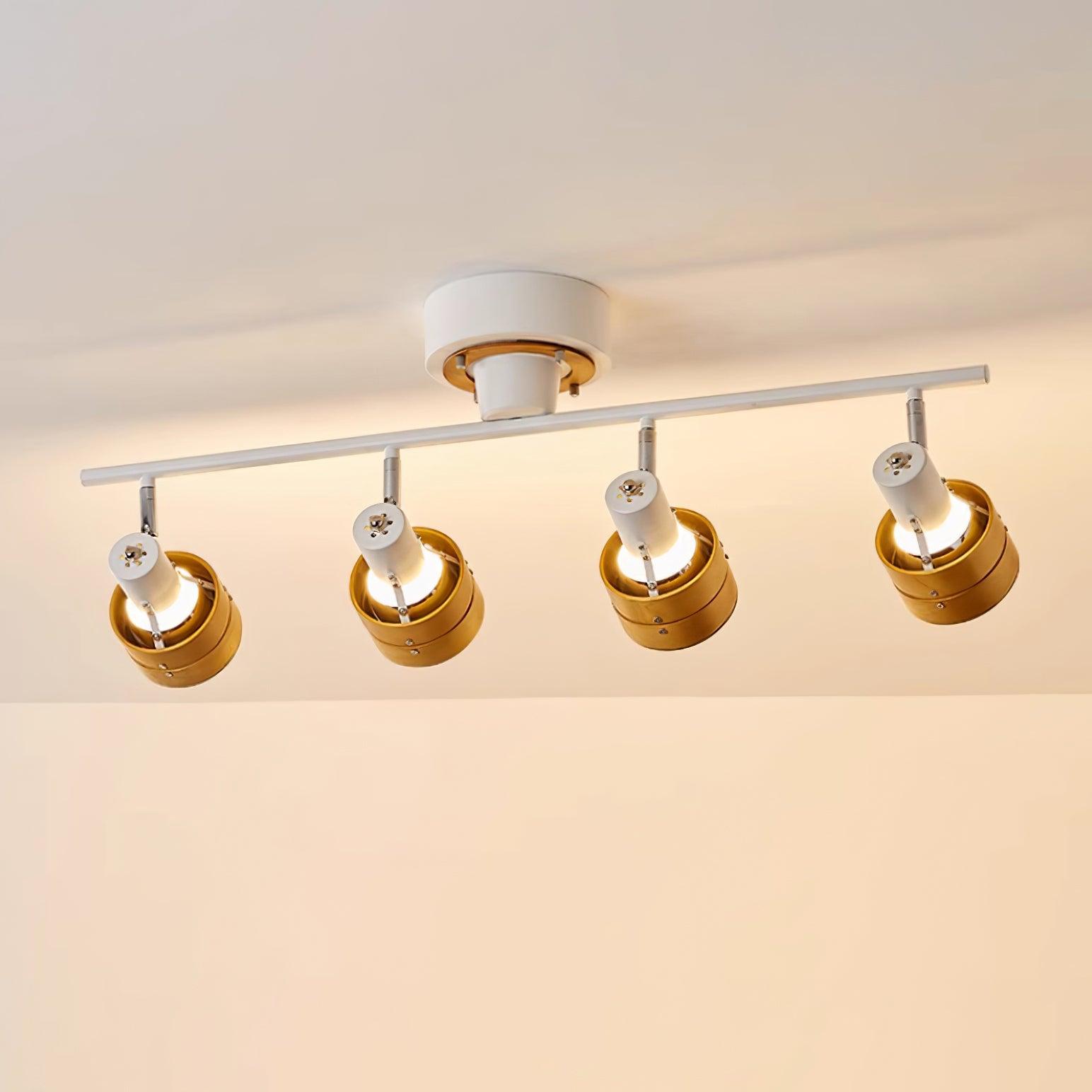 Daven Adjustable 4-Light Track Spotlight - Lamp Copper