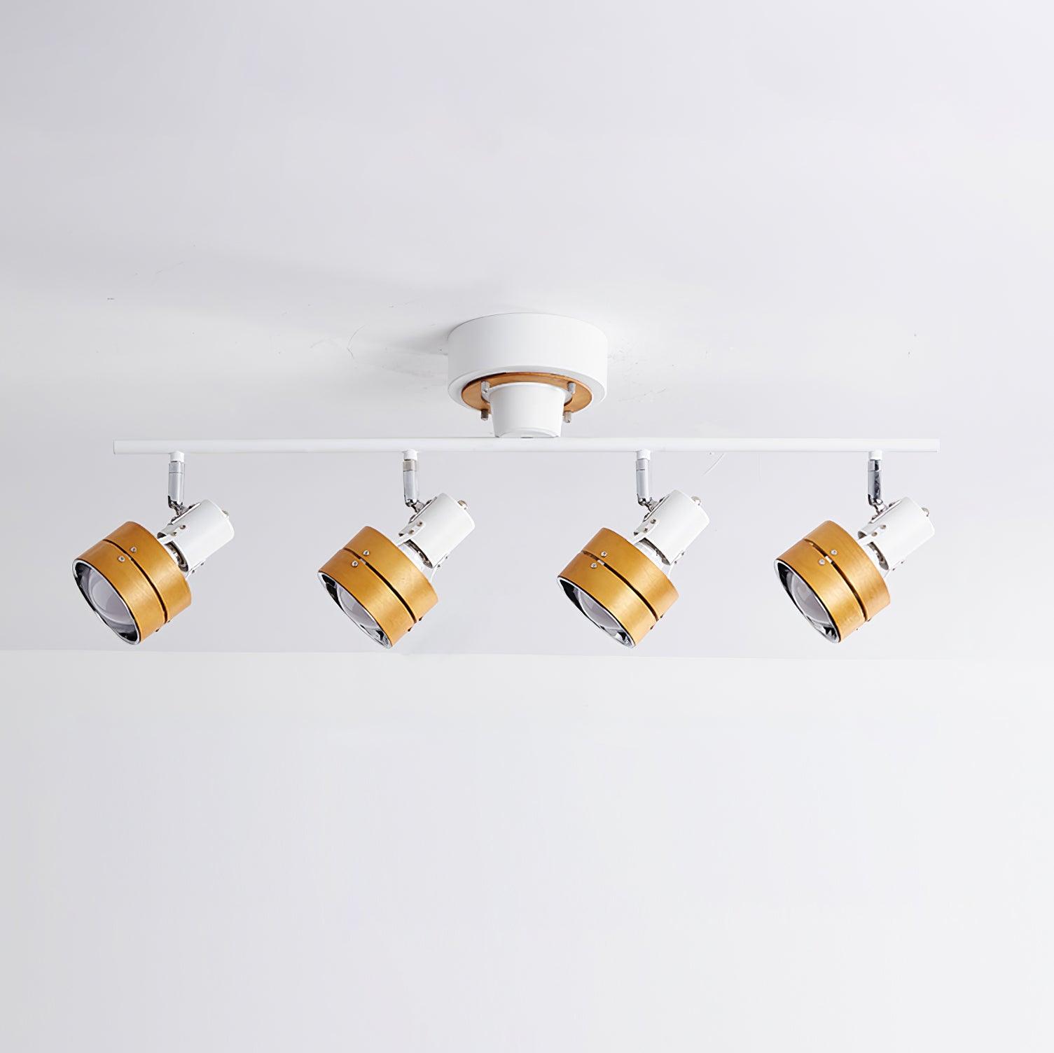Daven Adjustable 4-Light Track Spotlight - Lamp Copper