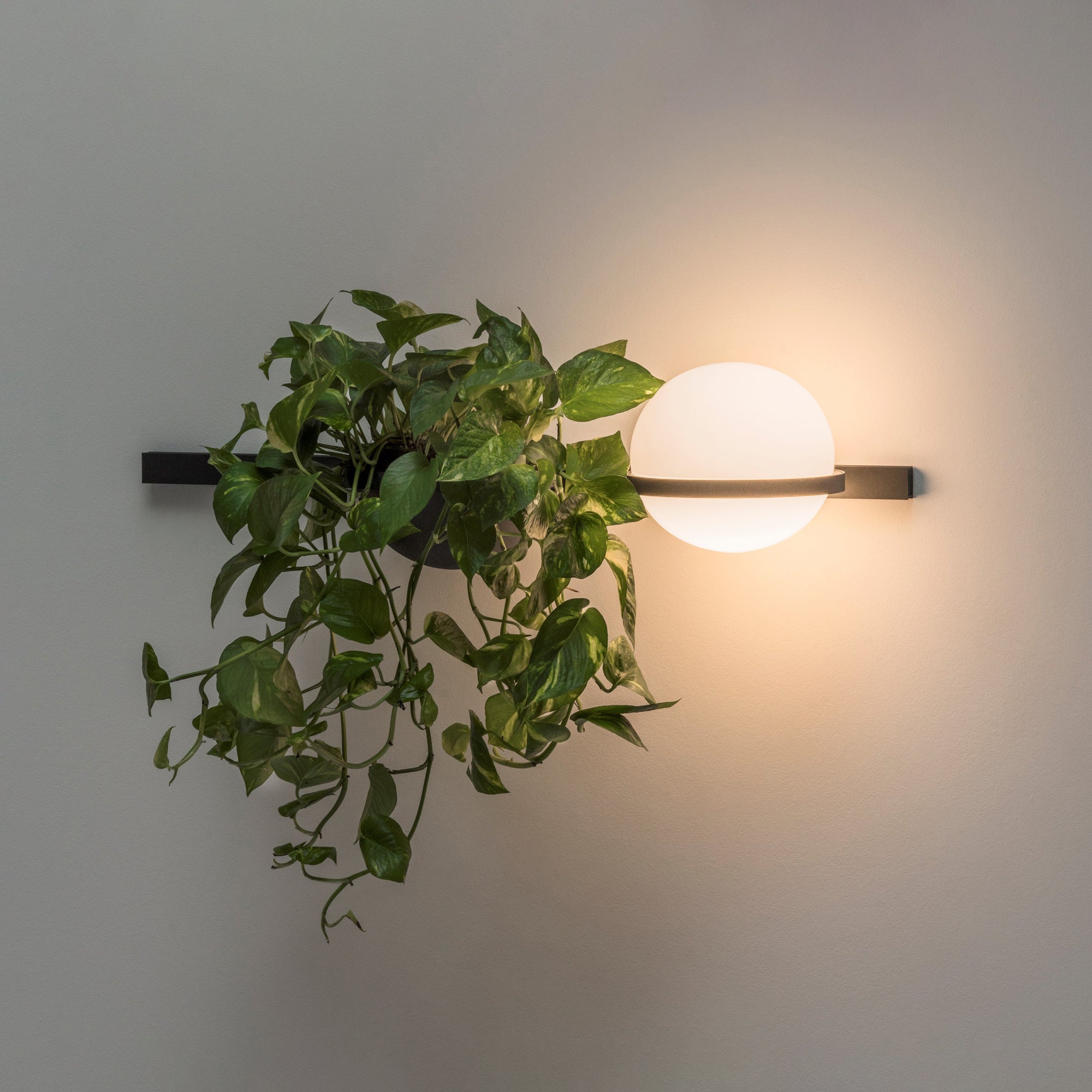 Ray Indoor Outdoor Wall Light - Lamp Copper
