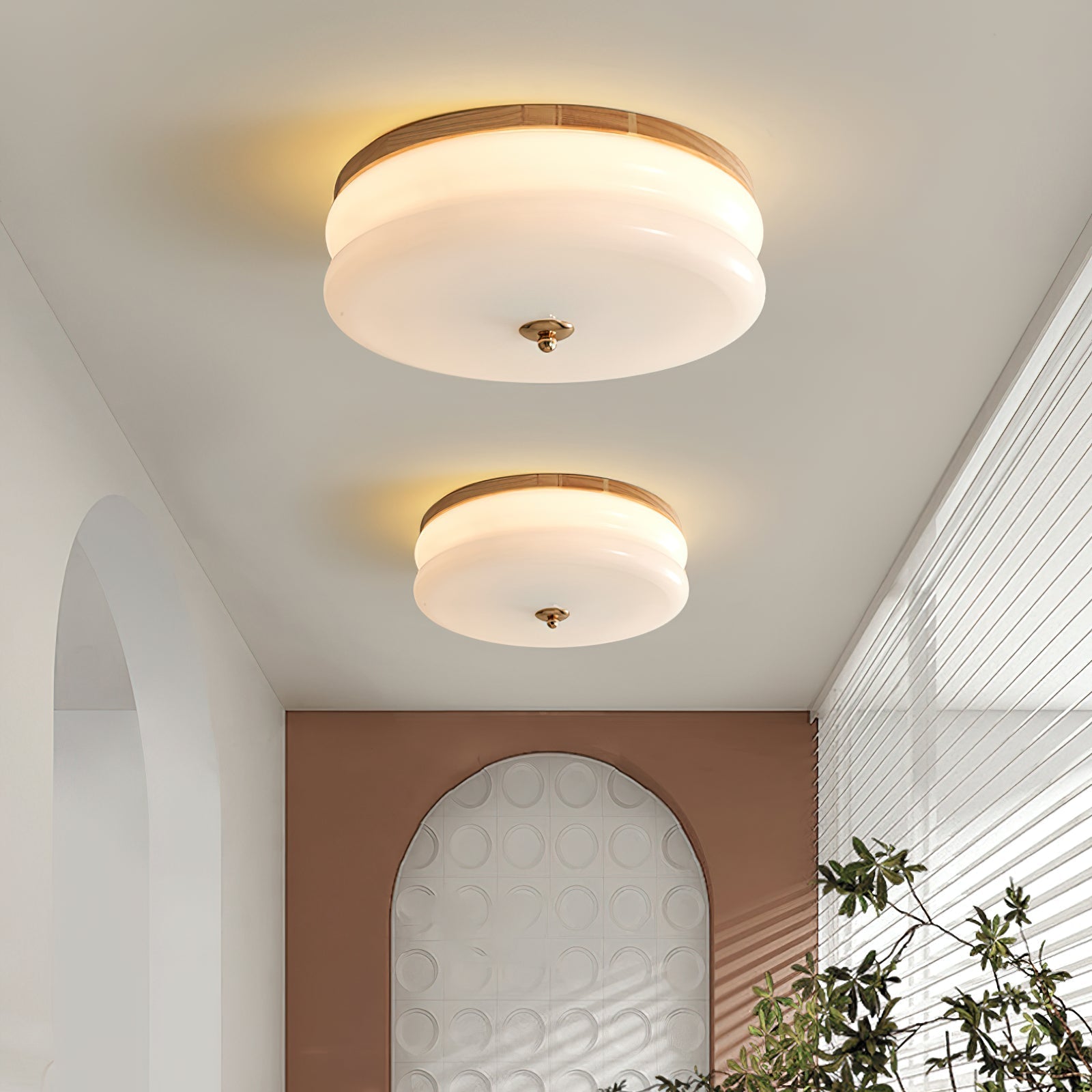 Ceiling Light Double-Layer Glass Disc Walnut Wood Minimalist - Lamp Copper
