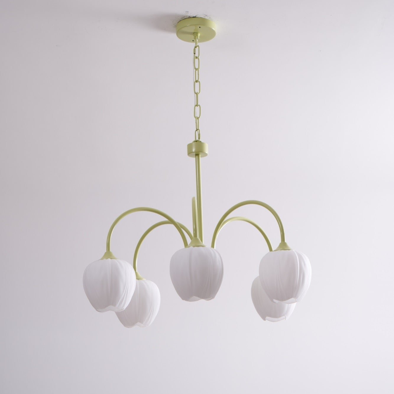 Tulip Fresh Chandeliers Glass - Lamp Copper
